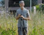 Ein Garten für Bienen und Schmetterlinge